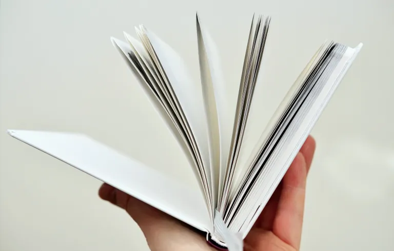 Libros al viento